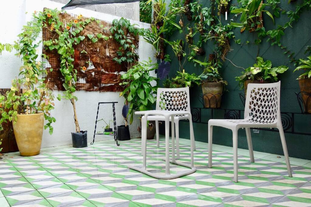 The Orchid Terrace *